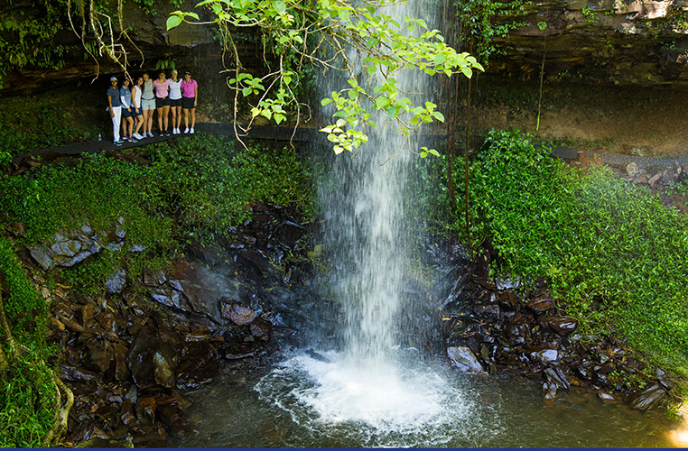 Chasing Trophies And Waterfalls Ladies European Tour Ladies