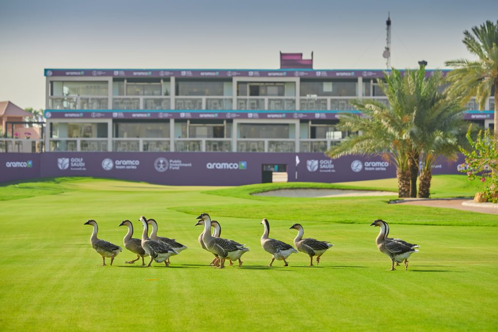 ARAMCO TEAM SERIES PLEDGES TO PLANT THE IMPACT IN RIYADH Ladies